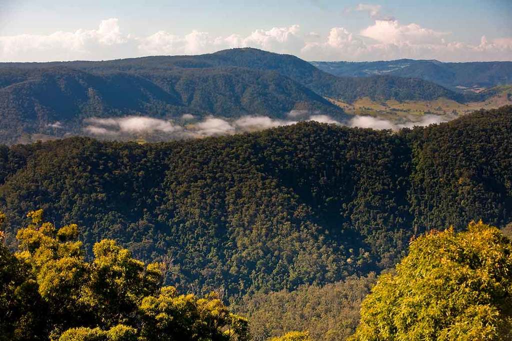 Our Top National Parks to Camp at in the Sunshine Coast